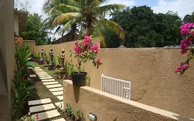 The Daryana Villa